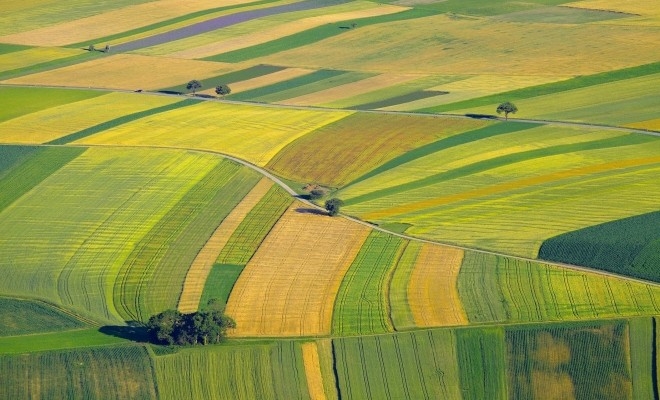 a-fost-aprobata-procedura-de-stabilire-a-impozitului-pe-veniturile-din-instrainarea-terenurilor-agricole-s17515