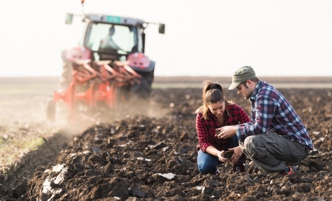 apia-demareaza-astazi-campania-de-plati-in-avans-aferenta-anului-de-cerere-2025-s24576